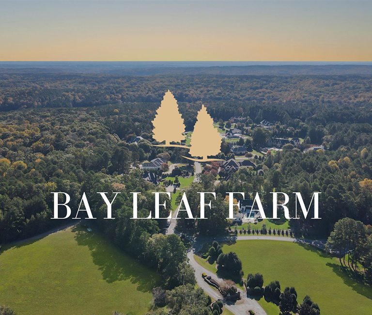 bay-leaf-farm-cover