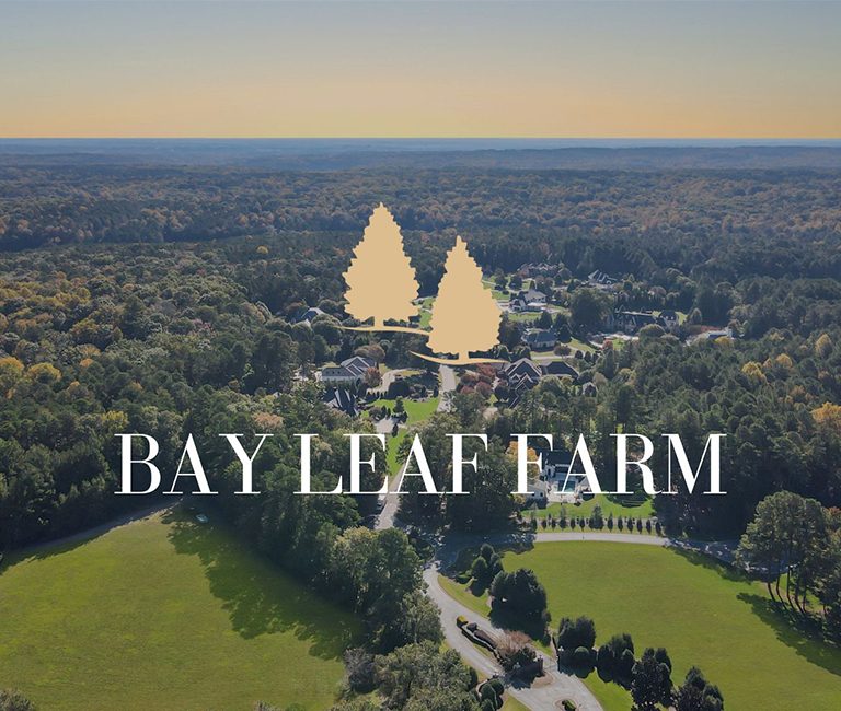 bay-leaf-farm-cover bay-leaf-farm-cover